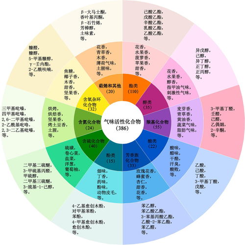 國際權威期刊半年三載國臺科研成果 健康科學研究助力白酒品質躍升新臺階